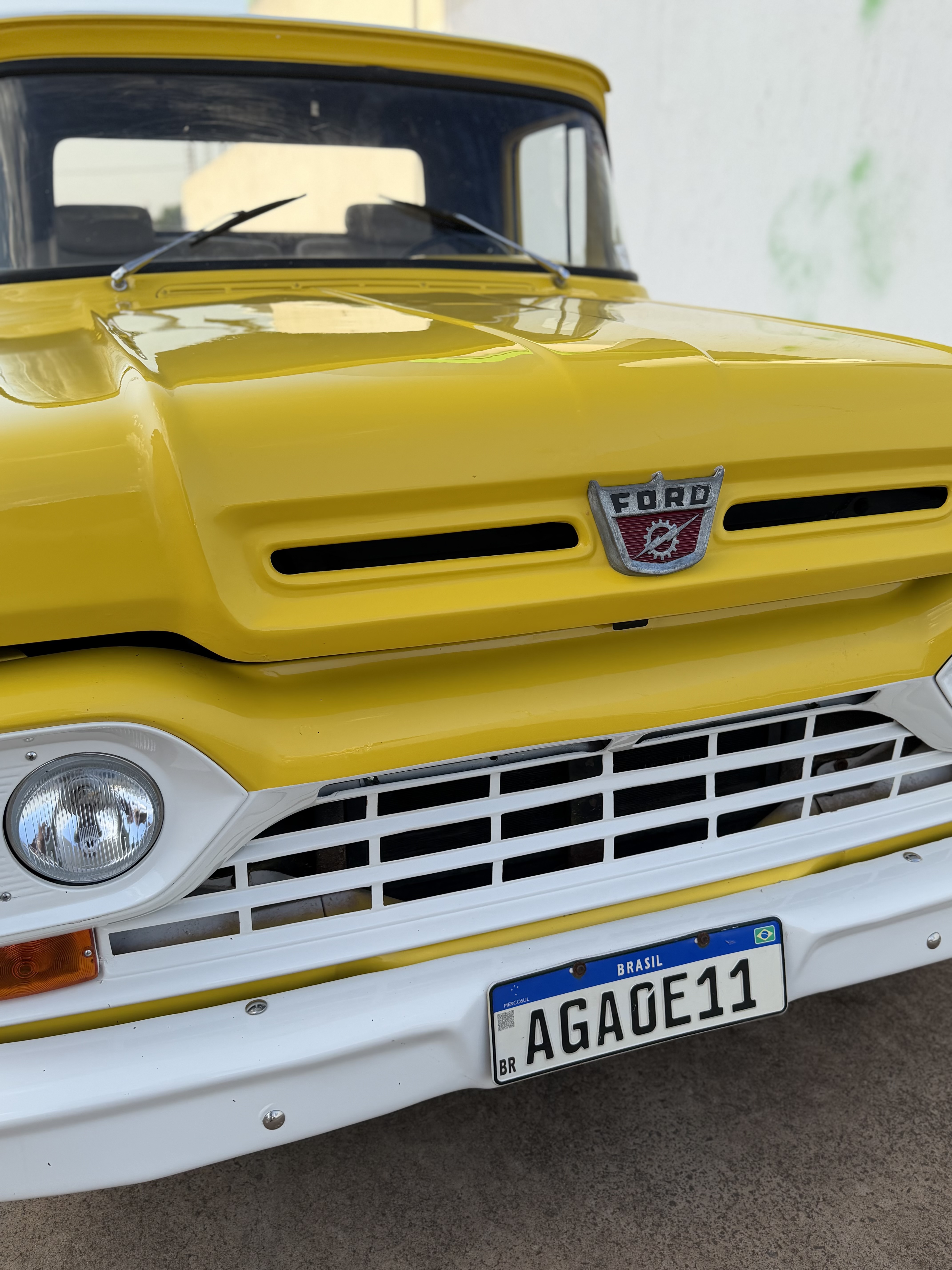 Foto extra 3 do Ford F100